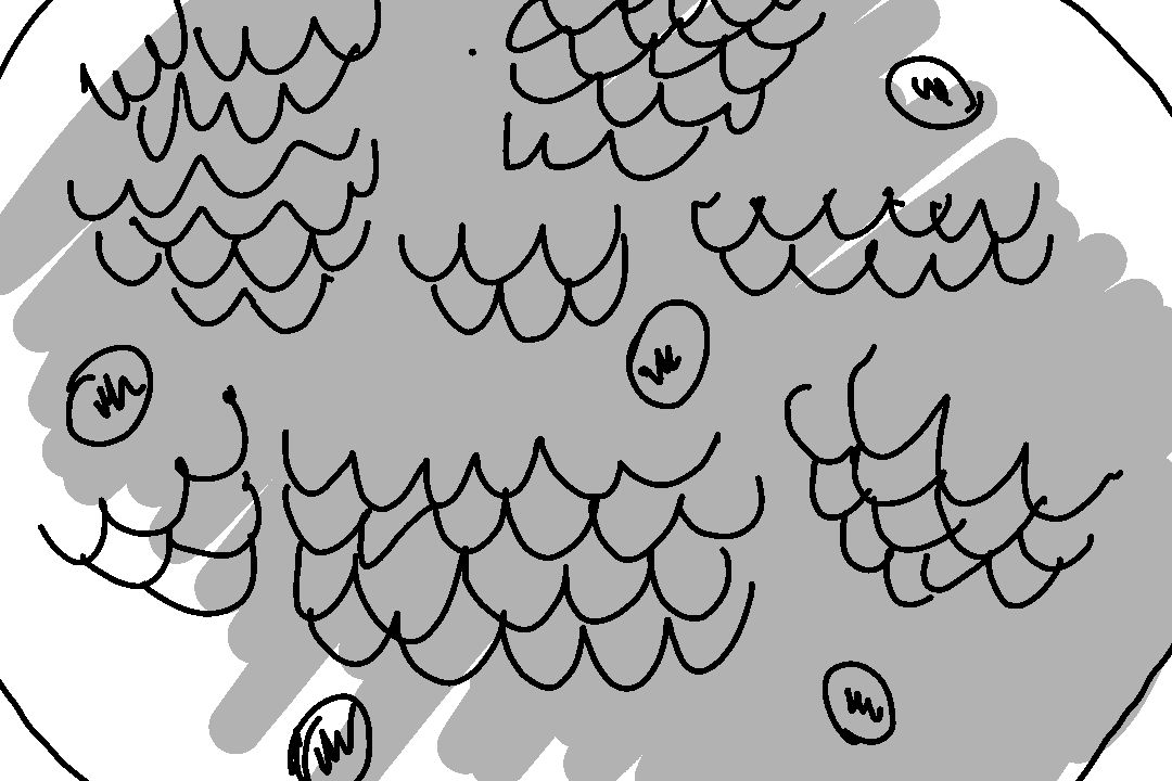 A Confrontation - Frame 25